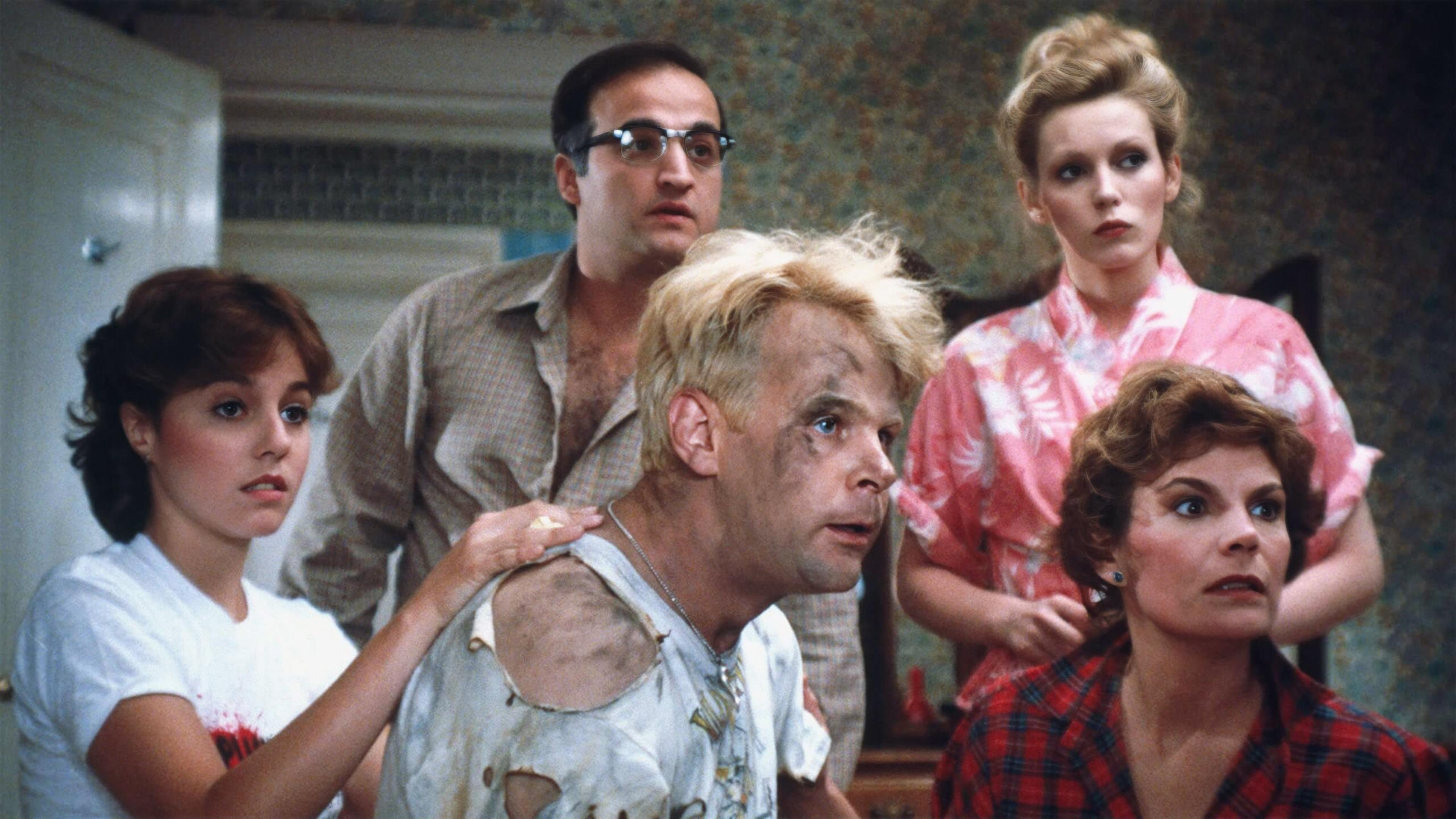 Die verrückten Nachbarn