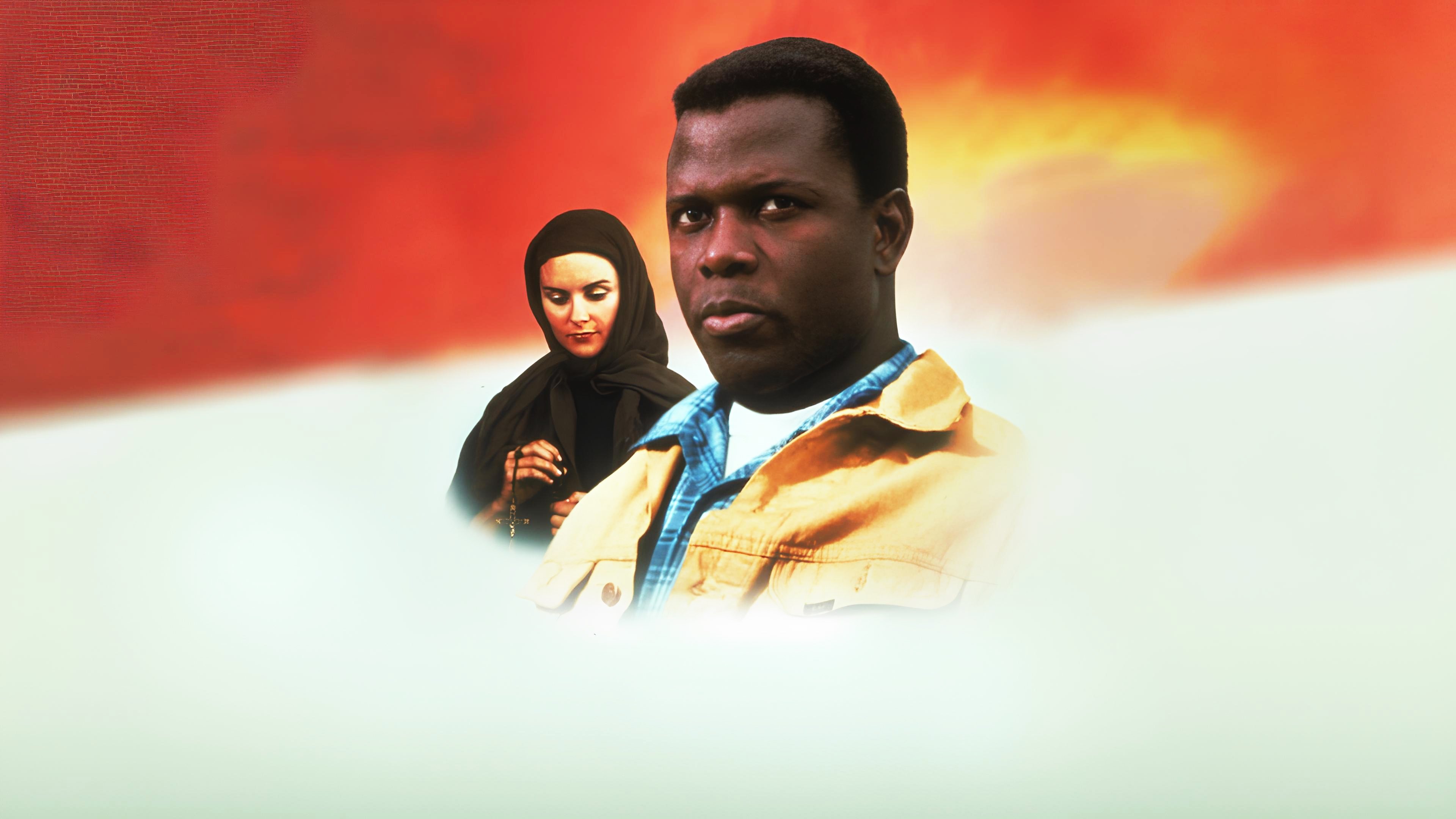 Lilien auf dem Felde