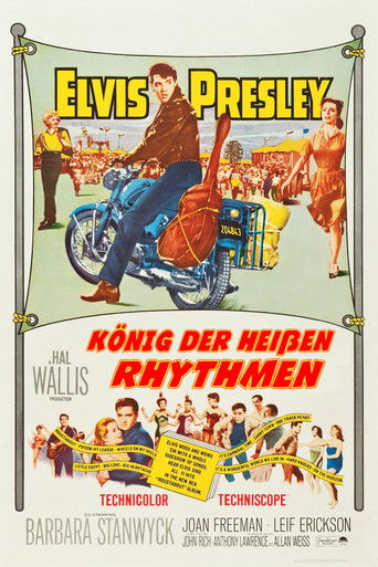 König der heißen Rhythmen