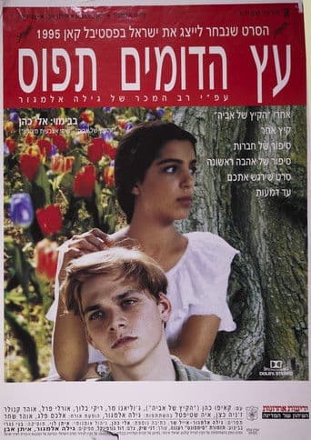 ืขืฅ ืืืืืื ืชืคืืก