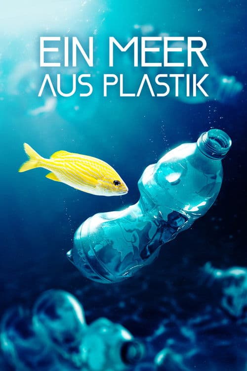 Ein Meer aus Plastik